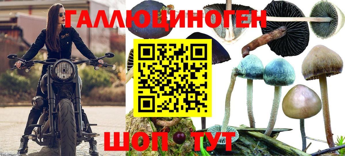 купить наркотики цена  Вход с VPN  Чайковский  Галлюциногенные грибы GOLDEN TEACHER 